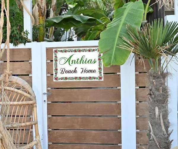 Anthias