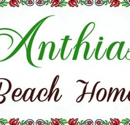 Anthias * Αρχάγγελος