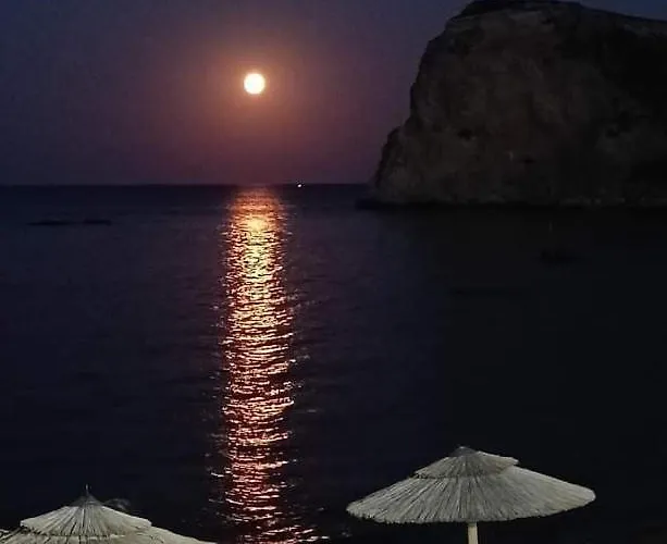 Anthias أرخانجلوس